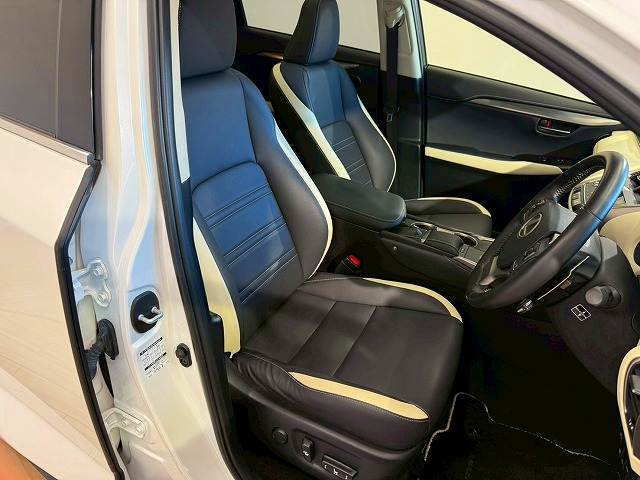 Lexus NX 11