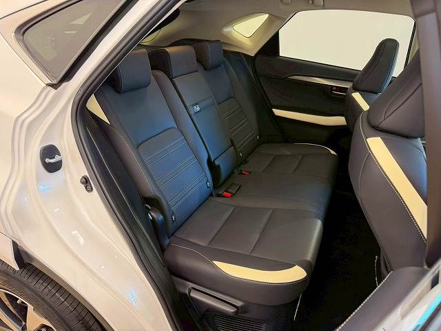 Lexus NX 12