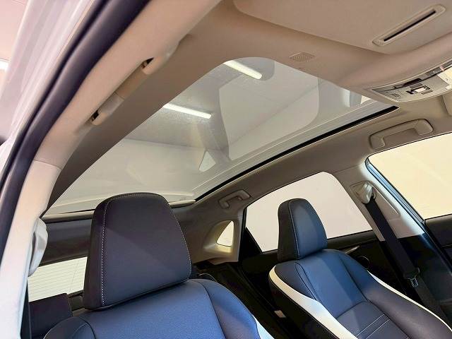 Lexus NX 6