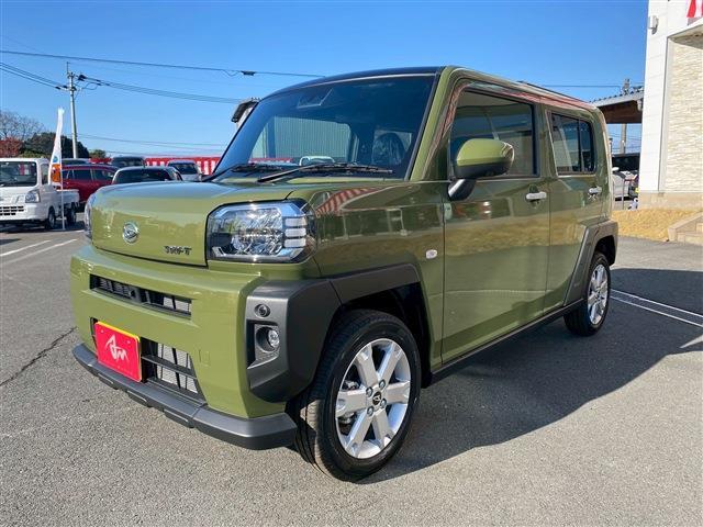 Daihatsu Taft 11