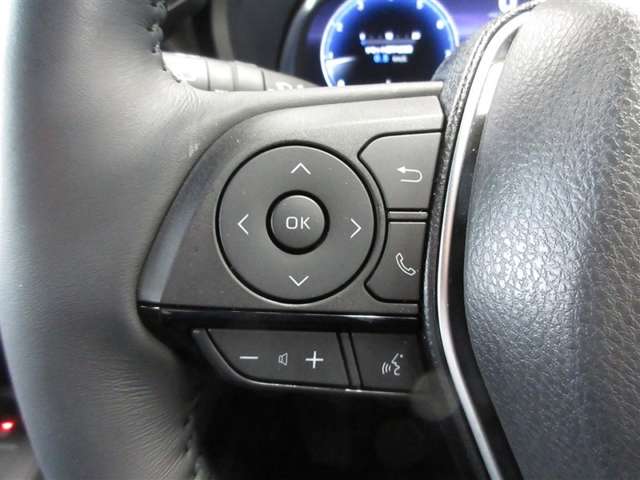 Toyota Harrier 12