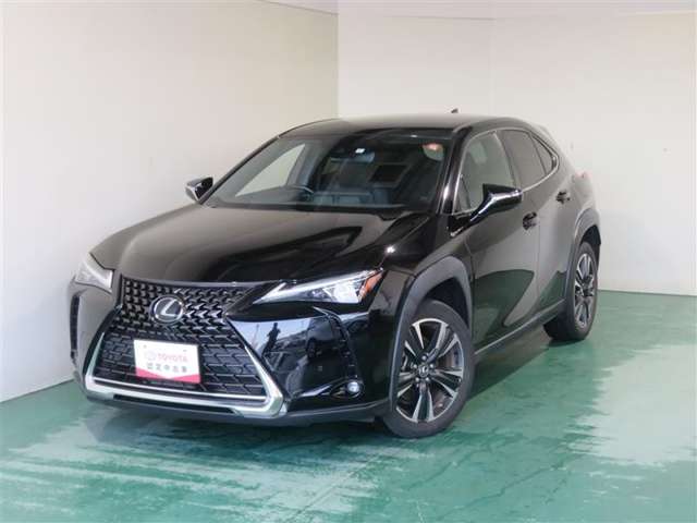 Lexus UX 12
