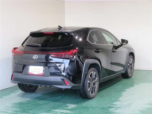 Lexus UX 8