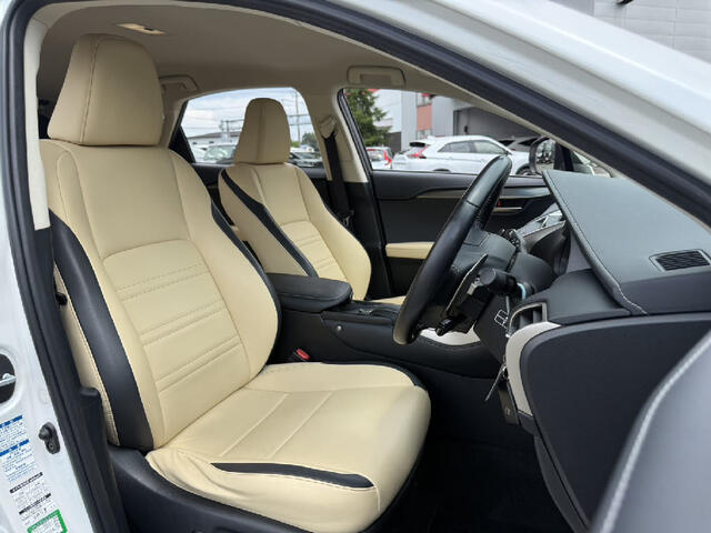 Lexus NX 12