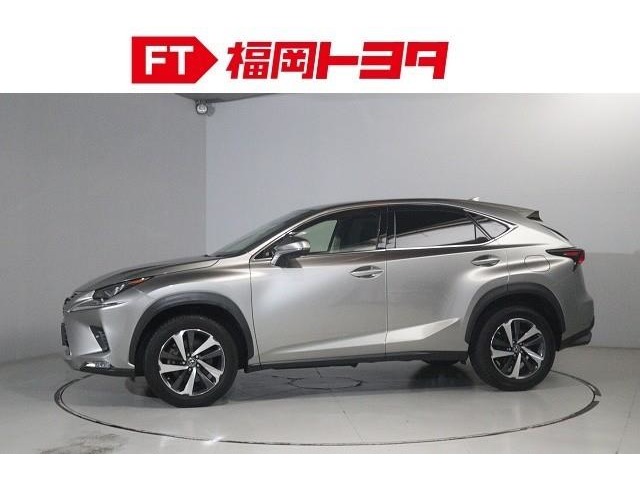 Lexus NX 5
