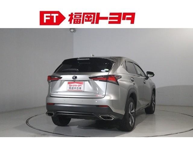 Lexus NX 6
