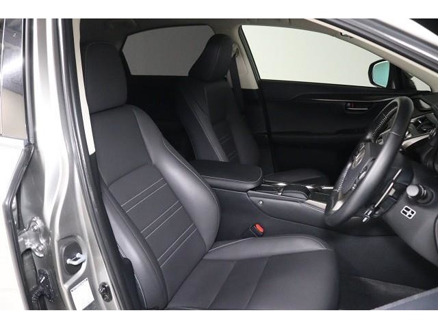 Lexus NX 10