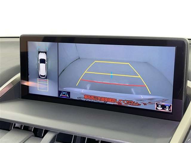 Lexus NX 12