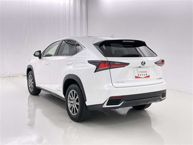Lexus NX 6