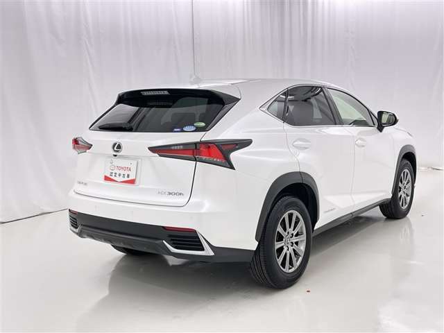Lexus NX 7