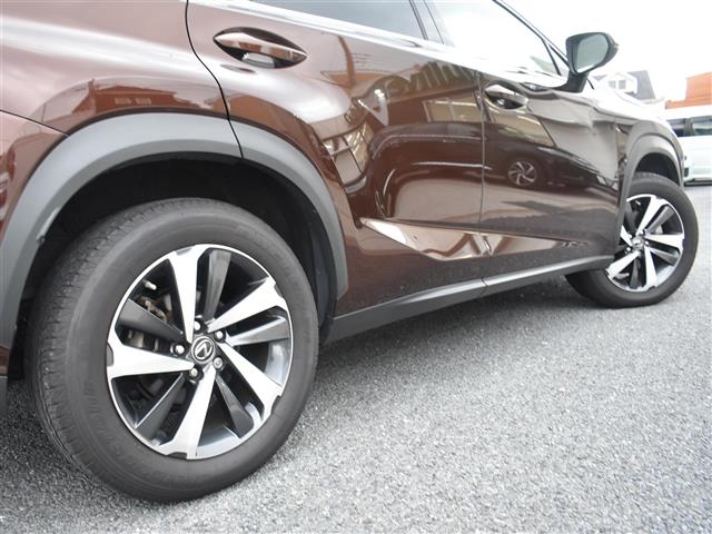 Lexus NX 11