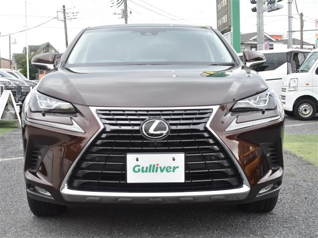 Lexus NX 12