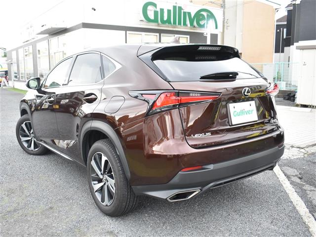 Lexus NX 5