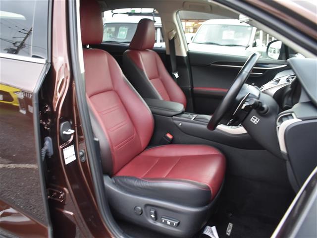 Lexus NX 6