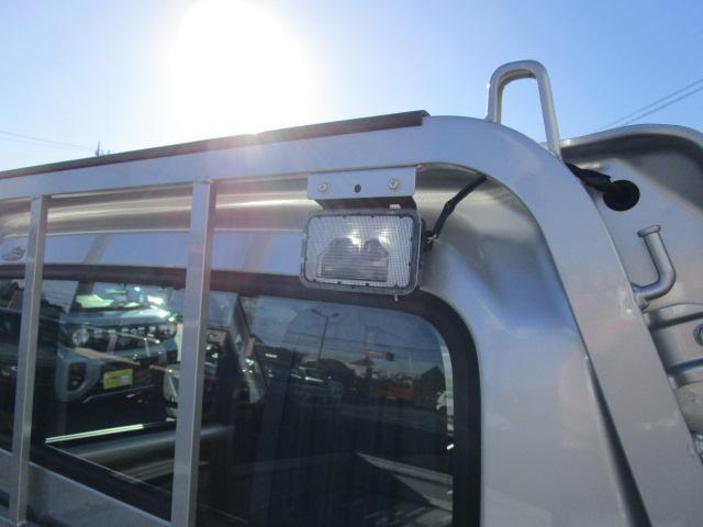 Suzuki Carry 11
