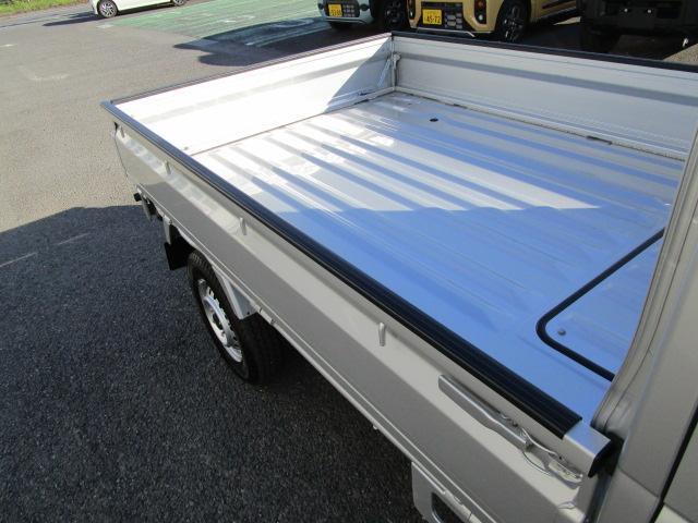 Suzuki Carry 12
