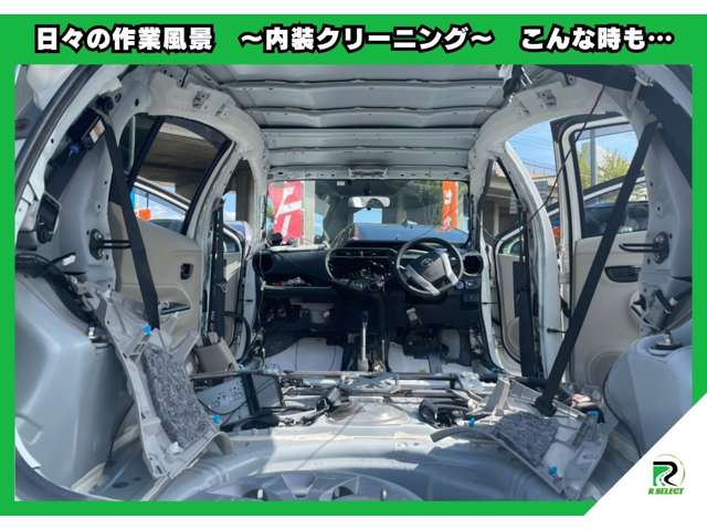 Suzuki XBEE 11