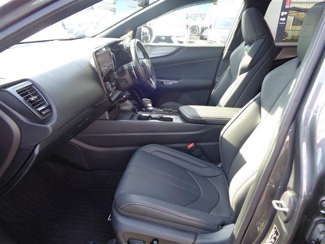 Lexus NX 11