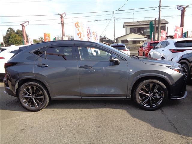 Lexus NX 4