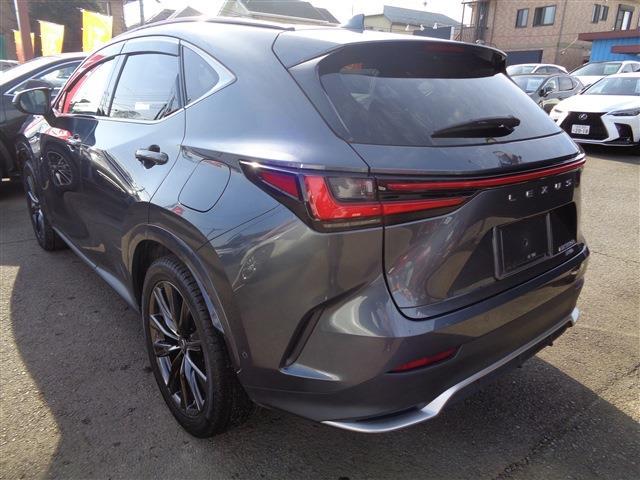 Lexus NX 6