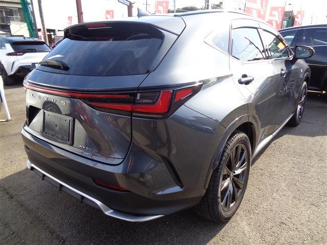 Lexus NX 8