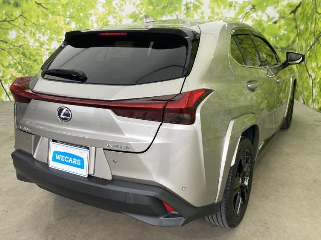 Lexus UX 6