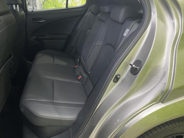 Lexus UX 9