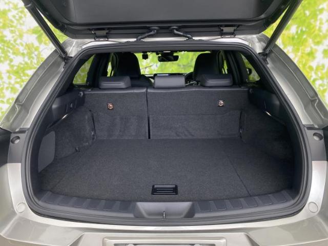 Lexus UX 10