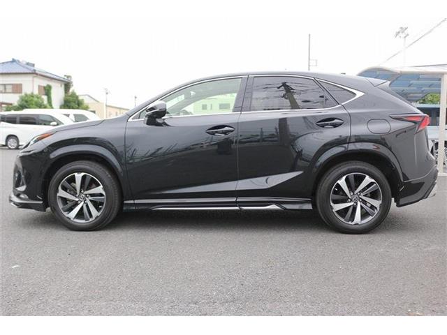 Lexus NX 11