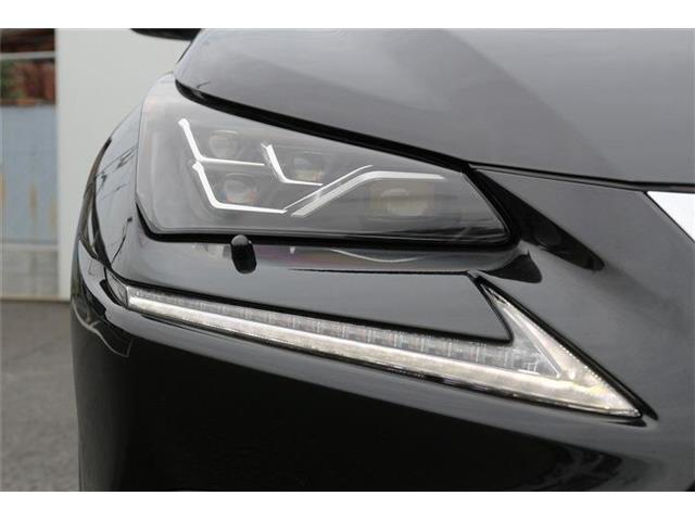 Lexus NX 12