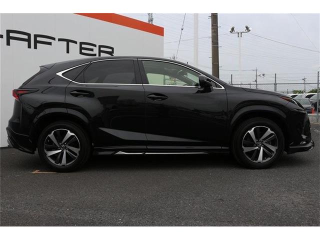 Lexus NX 9