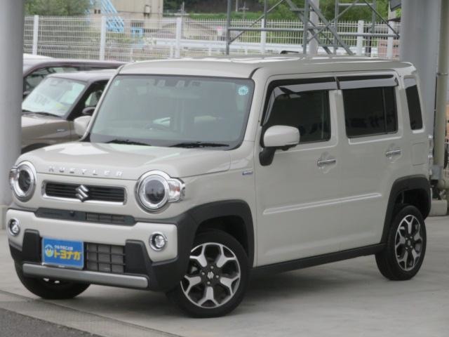 Suzuki Hustler 3