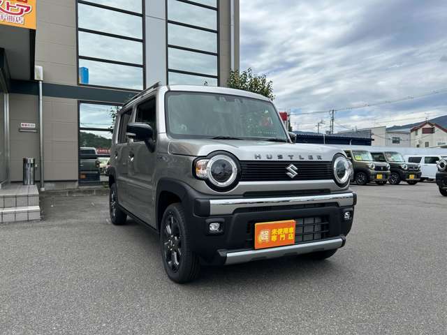 Suzuki Hustler 4