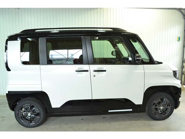 Mitsubishi Delica Mini 11