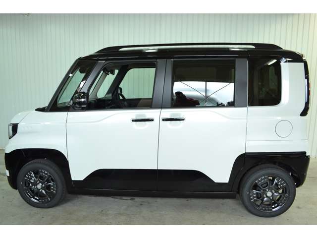 Mitsubishi Delica Mini 12