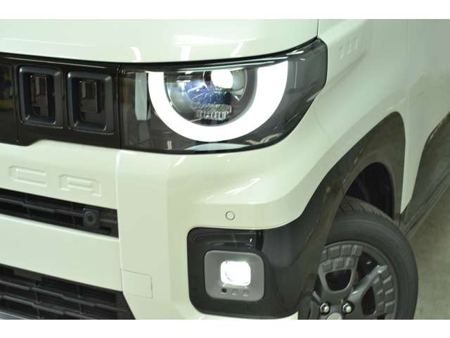 Mitsubishi Delica Mini 7