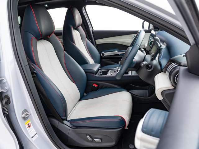 BYD BYD ATTO 3 10