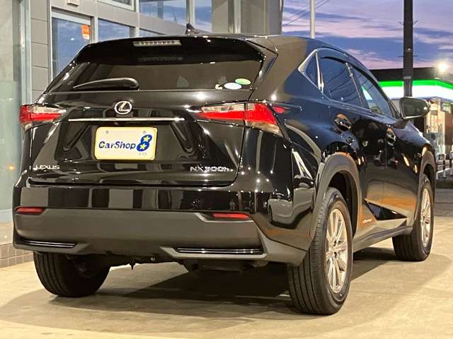 Lexus NX 4