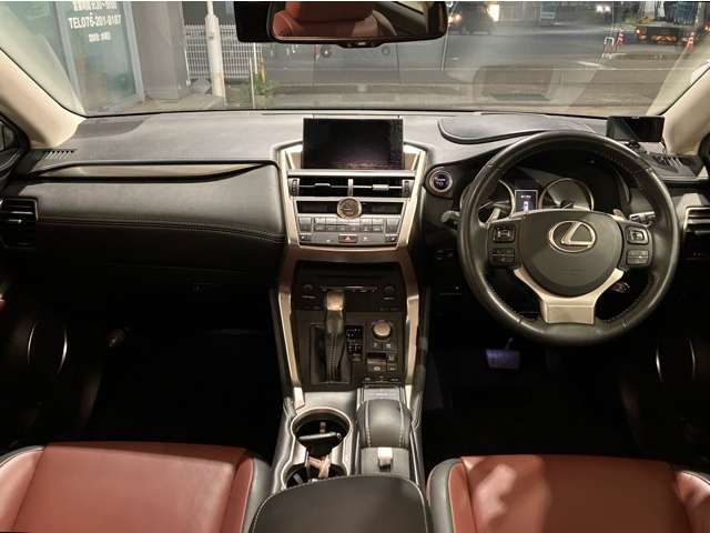 Lexus NX 6