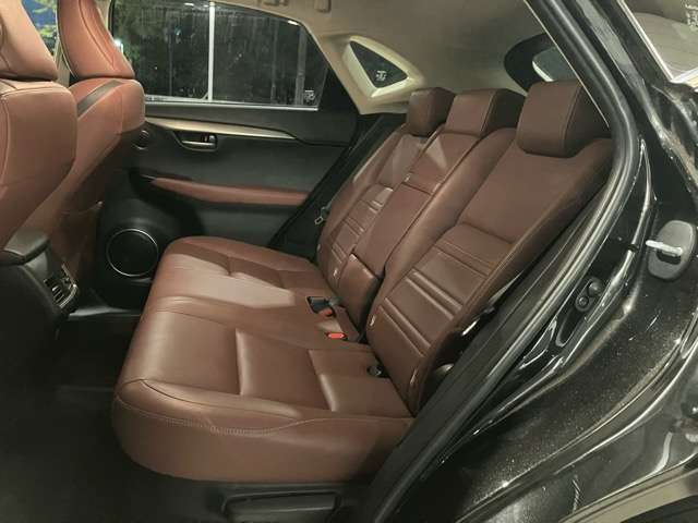 Lexus NX 8