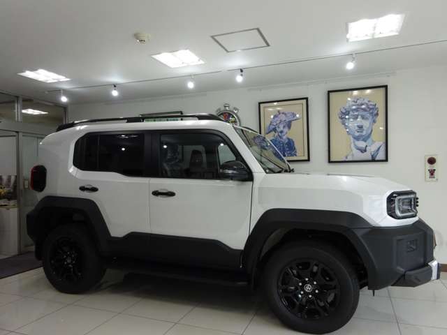 Toyota Land Cruiser FJ 6