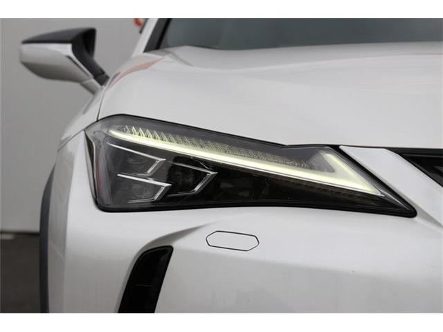 Lexus UX 12