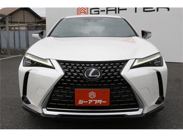 Lexus UX 8