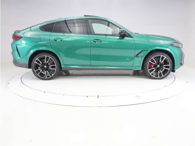 BMW X6 6