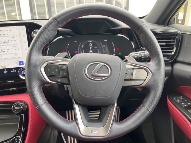 Lexus NX 12