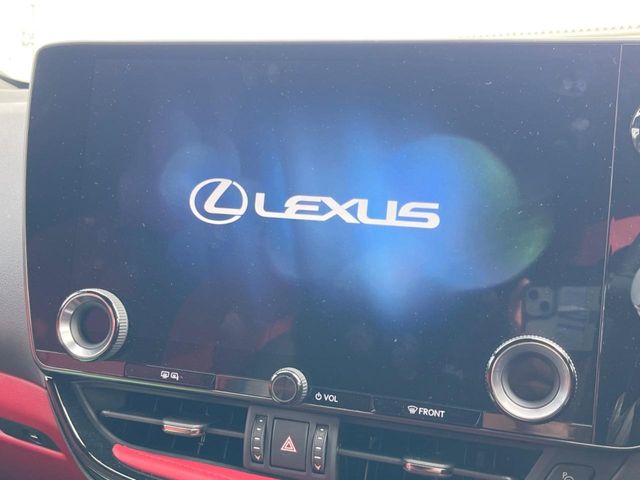 Lexus NX 4
