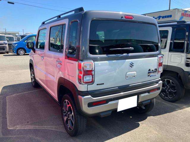 Suzuki Hustler 6