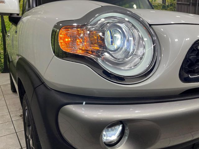 Suzuki XBEE 12