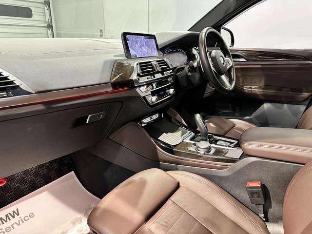 BMW X4 10