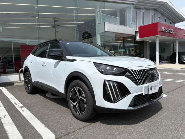 Peugeot SUV 2008 3